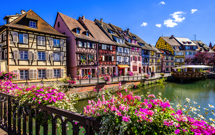 Fachwerkhäuser in der Altstadt von Colmar, Elsass, mit Blumen im Frühling.