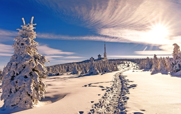 Winterlandschaft auf dem Brocken mit verschneitem Wanderweg und Sonnenschein.