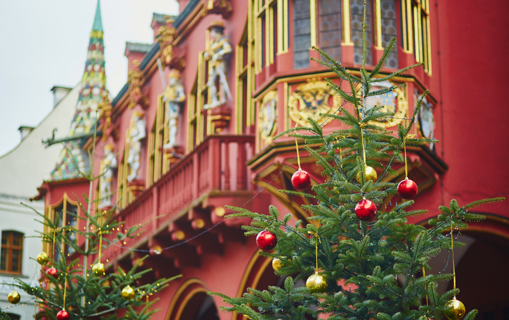Weihnachtsbäume mit Dekoration vor historischem Gebäude in Freiburg im Breisgau.