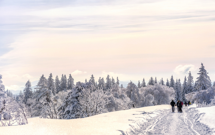 Winterlandschaft im Schwarzwald mit Menschen beim Wandern im Schnee.