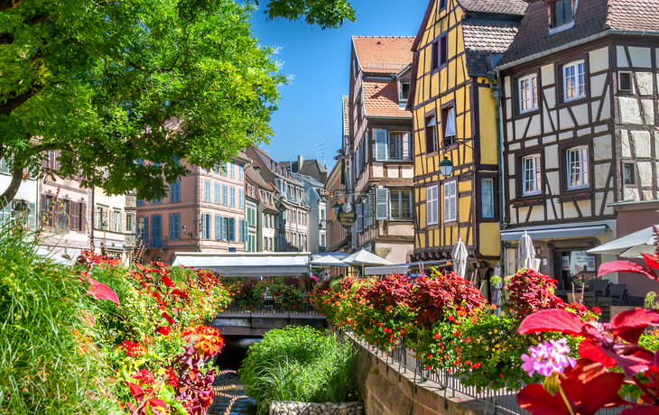 Kanal mit Blumen und Fachwerkhäusern in Colmar, Elsass, Frankreich.