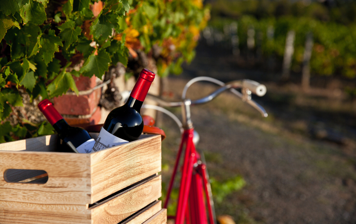 Fahrrad neben Weinkiste mit Rotweinflaschen auf der Elsässer Weinstraße.