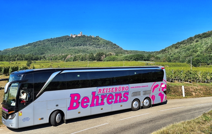 Behrens-Reisebus auf Landstraße im Elsass vor Hügeln und Weinbergen