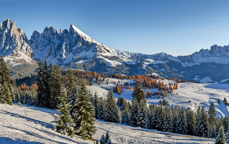Verschneite Berglandschaft mit Tannenbäumen unter blauem Himmel.