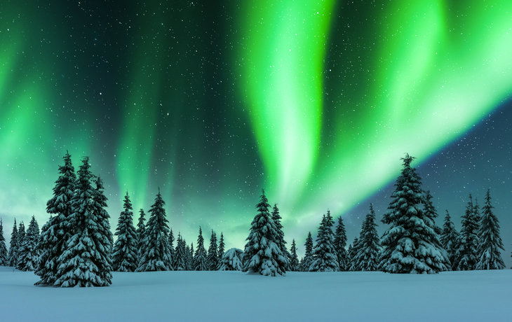 Nordlichter über einem verschneiten Winterwald 