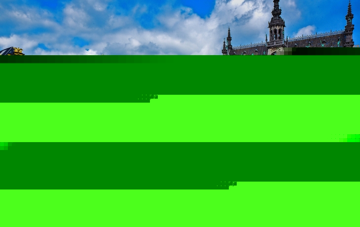 Blick auf den Blumenteppich am Grote Markt in Brüssel mit historischen Fassaden.