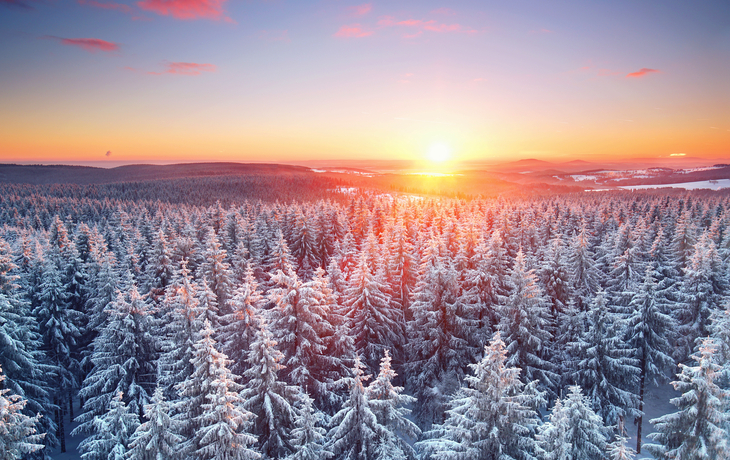 Winterlandschaft im Thüringer Wald bei Sonnenuntergang mit schneebedeckten Tannen.