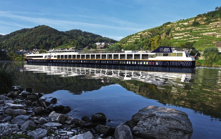 Die MS Elegant Lady fährt auf der Mosel.