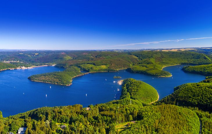 Panoramablick auf den Rursee im Nationalpark Eifel mit umgebendem Wald.