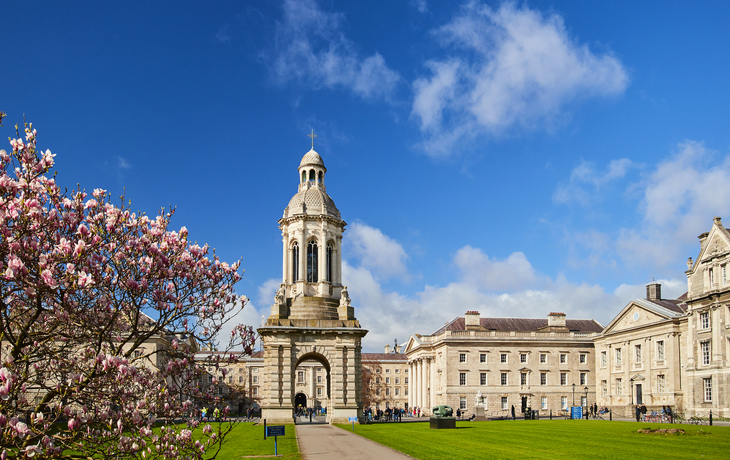 Turm und Gebäude vor blauem Himmel mit rosa blühendem Baum im Vordergrund.