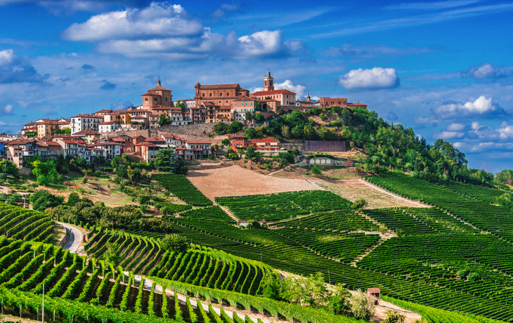 Hügelstadt mit historischen Gebäuden und umliegenden Weinbergen bei klarem Himmel.