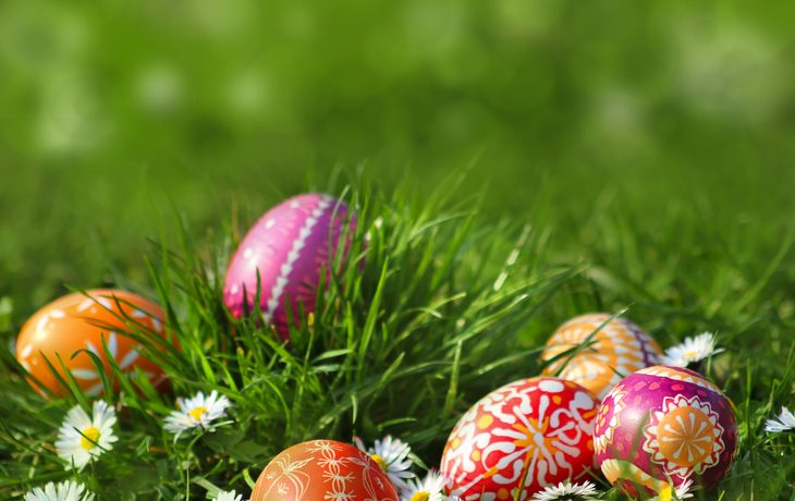 Sorbische Ostereier mit detaillierten Mustern liegen im Gras, umgeben von kleinen weißen Blumen.