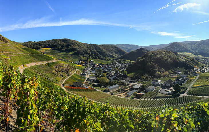 Weinberglandschaft mit Dorf im Tal bei klarem Himmel.