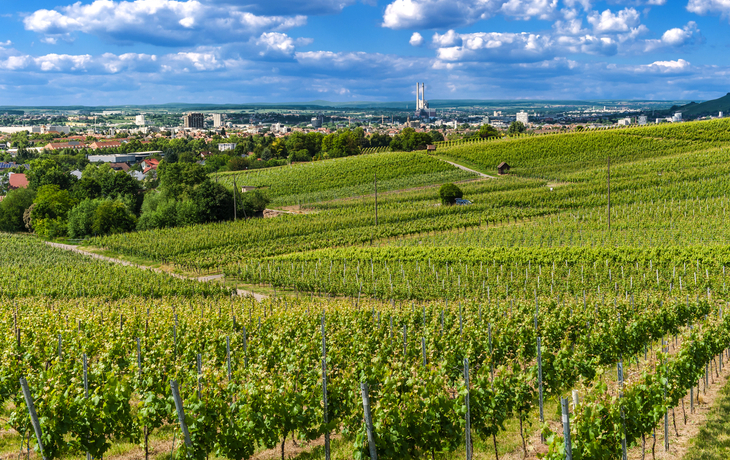 Weinberge mit Blick auf eine Stadt und entfernte Hügel bei sonnigem Wetter.