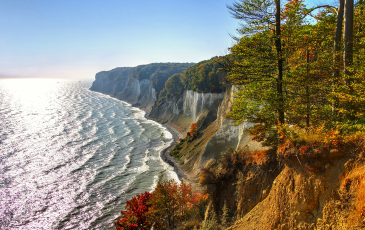 Kreidefelsen an der Ostsee mit Wald im Herbst.