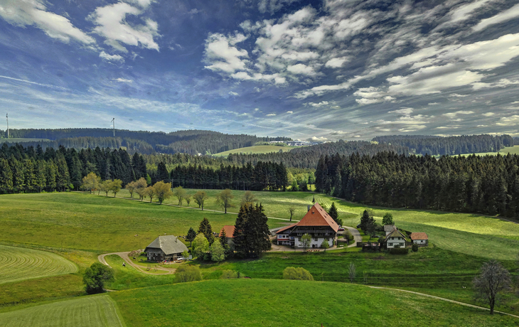 Landschaft mit Wiesen, Wald und einem einsamen Bauernhof unter blauem Himmel.